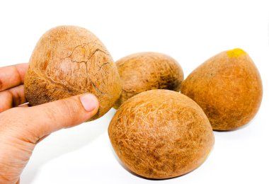 Seçici odaklı beyaz arkaplanda hindistan cevizleri