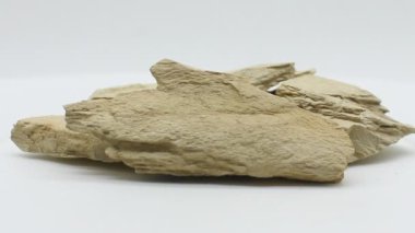 multani mitti beyaz arka planda seçici odaklı