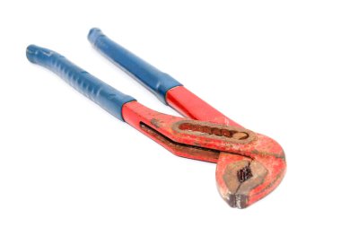 Seçici odaklı Demir Maymun Kerpeteni 'nin bir resmi.