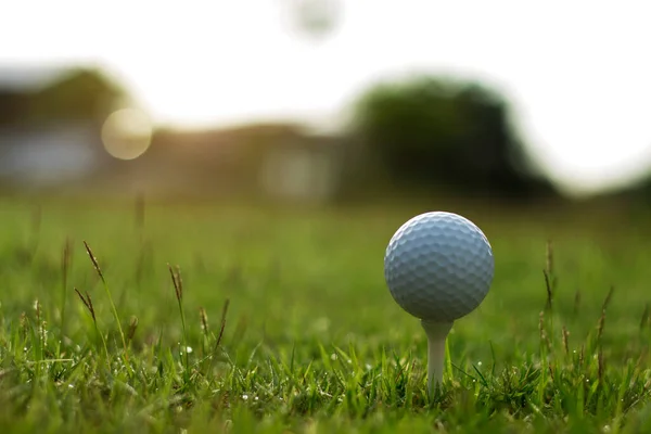 Golfbal Tee Een Prachtige Golfbaan Met Ochtendzon Klaar Voor Golf — Stockfoto