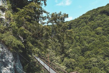 Okatse Kanyonu 'ndaki asma köprü, Gordi köyü, Imereti bölgesi, Georgia. Yeşil ağaçlarla kaplı tepelerle çevrili dar bir patika. Üzerinde ışık bulutları olan mavi bir gökyüzü. Gürcistan turistik merkezi