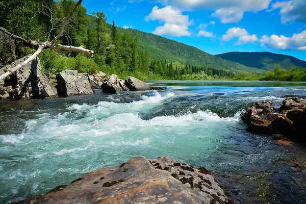      Bazybai dağ taygası nehrinin eşiğinde