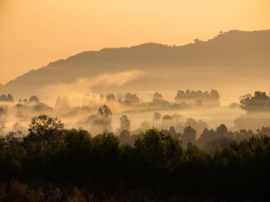 Amazing Sunrise Over Misty Landscape. Scenic View Of Foggy Morning Sky With Rising Sun Above Misty Forest