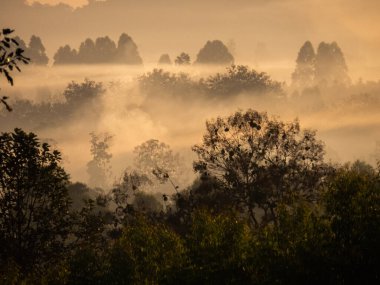 Amazing Sunrise Over Misty Landscape. Scenic View Of Foggy Morning Sky With Rising Sun Above Misty Forest