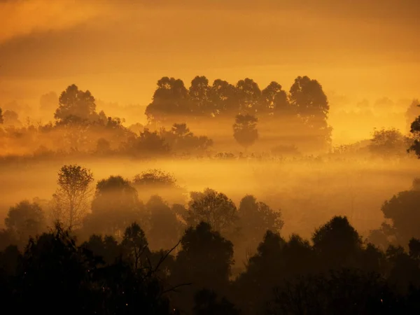 Amazing Sunrise Misty Landscape Scenic View Foggy Morning Sky Rising — Stockfoto