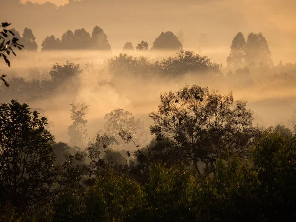 霧の風景の上に驚くべき日の出 霧の森の上に昇る太陽と霧の朝の空の景色 — ストック写真