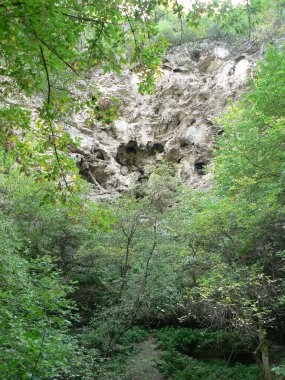 arka plan çekici güzellik güzel parlak portre renk