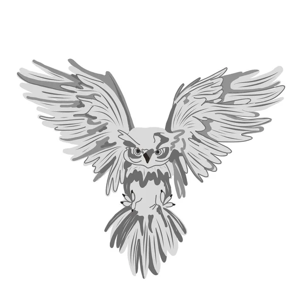 Hibou Volant Magie Chouette Blanche Illustration Vectorielle Oiseau Postale — Image vectorielle