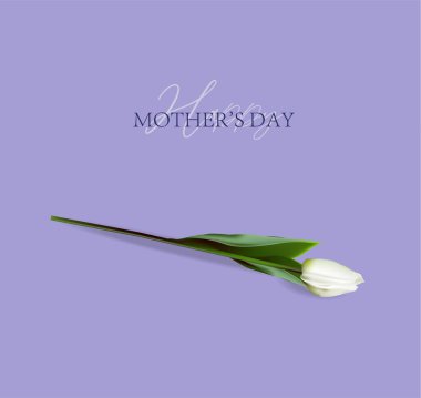 Happy Mother's Day greeting card. Spring cut flowers tulips, festive background. Vector illustration. Women's holiday.