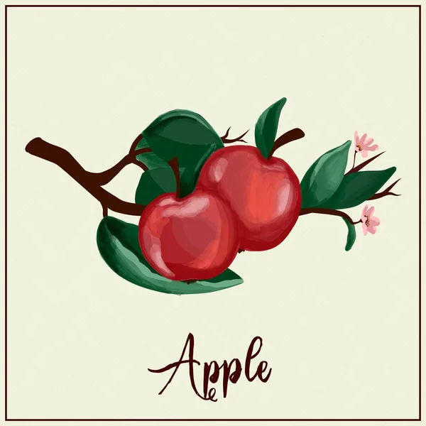Fruit Card Apples Drawn Red Apples Vector Illustration Farm Gardening - Stok Vektor