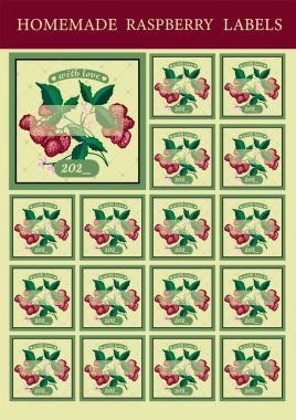 Reçel için mutfak etiketleri. Evi korumak için çıkartmalar. Ahududu reçeli. Çizici için etiketler.