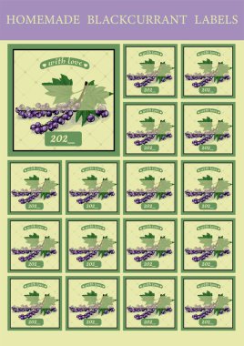 Reçel için mutfak etiketleri. Evi korumak için çıkartmalar. Frenk üzümü. Çizici için etiketler.