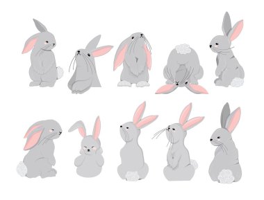 Rabbits character set. Symbol of 2023. Year of the rabbit. Cute hare isolated on white background.Vector illustration.