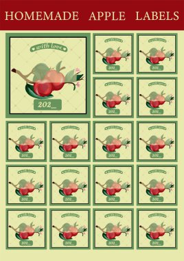 Elmalar için kare etiketler. Reçel etiketi. Ev yemeği için ambalaj. Kırmızı Elma. Meyve reçeli.