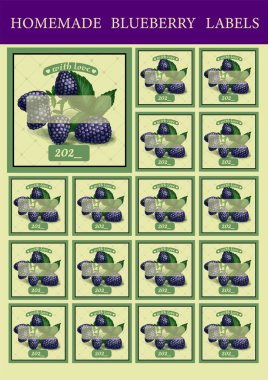 Ev yapımı böğürtlen etiketi. böğürtlen konserveli ambalaj.