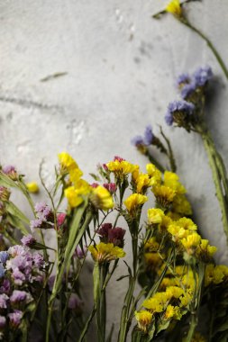 Kurumuş çiçekler, bitki buketi bahçede çiçek açan farklı renkler.