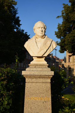 Bamberg, Almanya 07.21.2021: Johann Lukas Schnlein 'in Baskını (1793-1864), Bamberg doğumlu Alman doğa bilimci ve tıp profesörü.