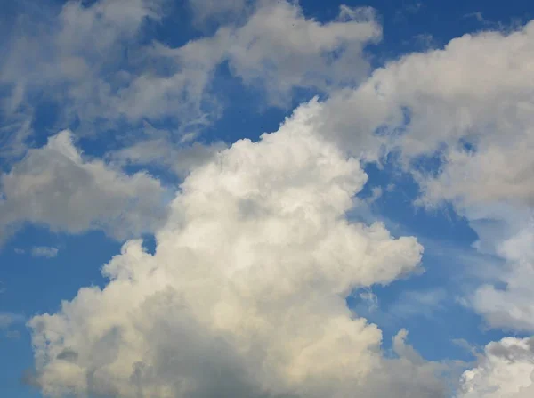 Langit Biru Yang Indah Musim Panas — Stok Foto
