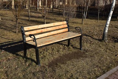 Sokakta banka ve sonbahar yaprakları.