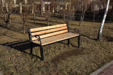 Ormandaki bankta. Ahşap bankları ve ağaçları olan sonbahar parkı.