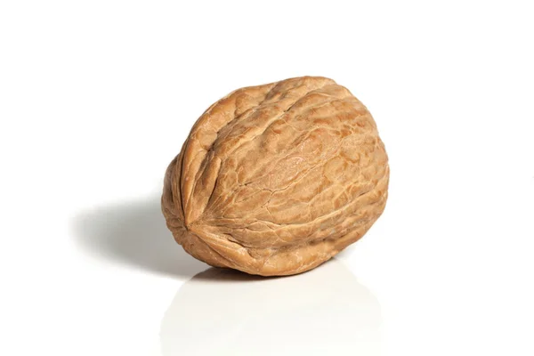 Walnut Stock Image