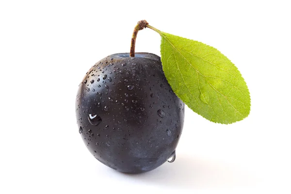 Plum Royalty Free Stock Images