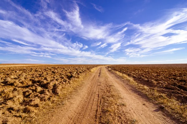 Zamora arazi (İspanya)