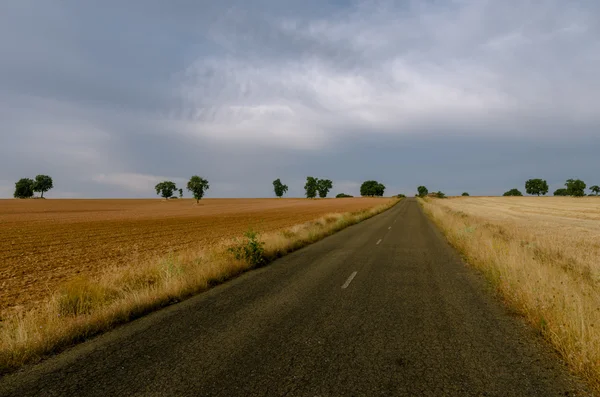 Alan Zamora (İspanya)