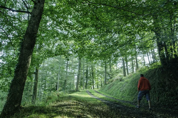 Montagem Gorbea (País Basco ) — Fotografia de Stock