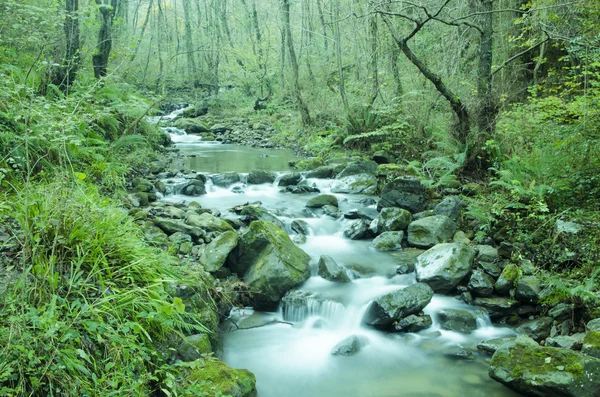 Waterfalls — Stock Photo, Image