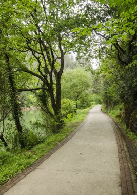 güzel bir yürüyüş