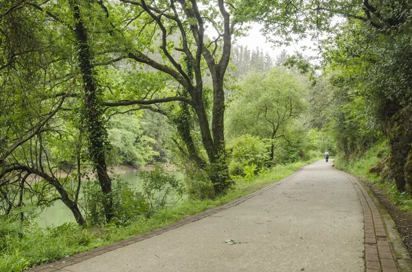 güzel bir yürüyüş