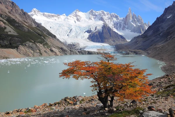 Cerro Torre bjerget . - Stock-foto