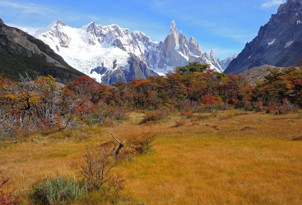 Cerro Torre montagne . — Photo