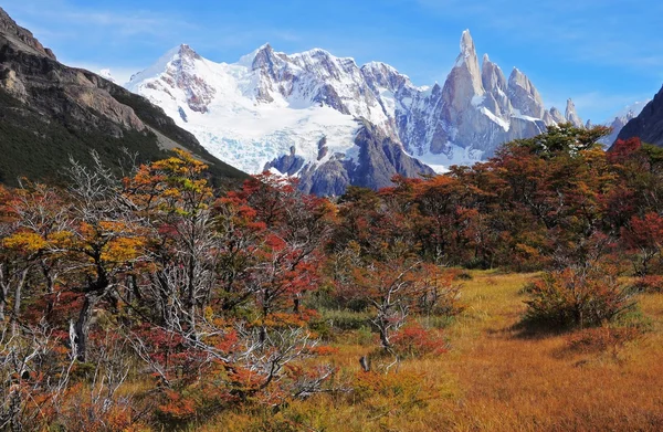 Montaña Cerro Torre . —  Fotos de Stock