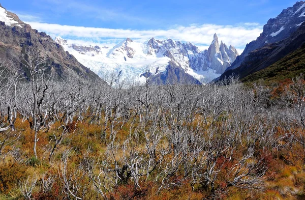 Cerro torre 山. — 图库照片