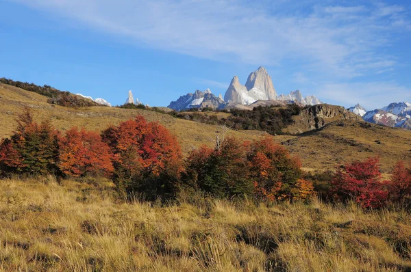 Fitz Roy Mountain. — Stock Fotó