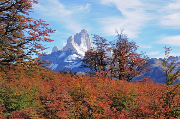 Fitz Roy mountain. — Stock Photo, Image