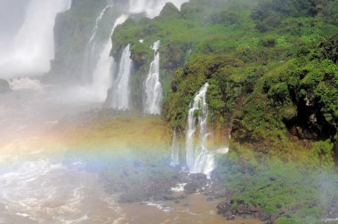 Iguazu Şelaleleri.