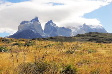 Torres del Paine Ulusal Parkı.