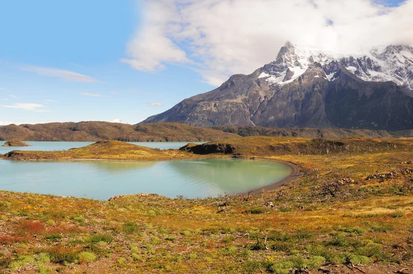 托雷斯雷德裴恩国家公园。智利. — 图库照片