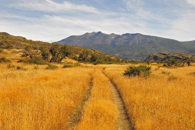 Torres del Paine Ulusal Parkı.