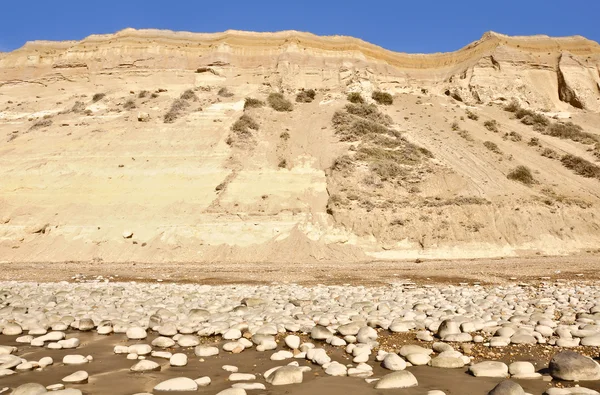 Costa del océano . — Foto de Stock