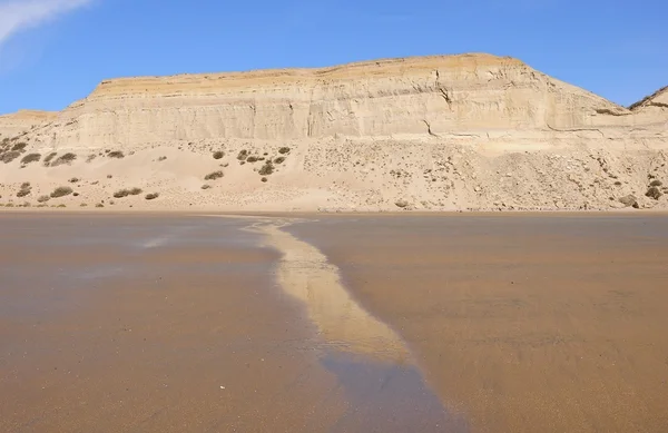 Costa do oceano. Patagônia . — Fotografia de Stock