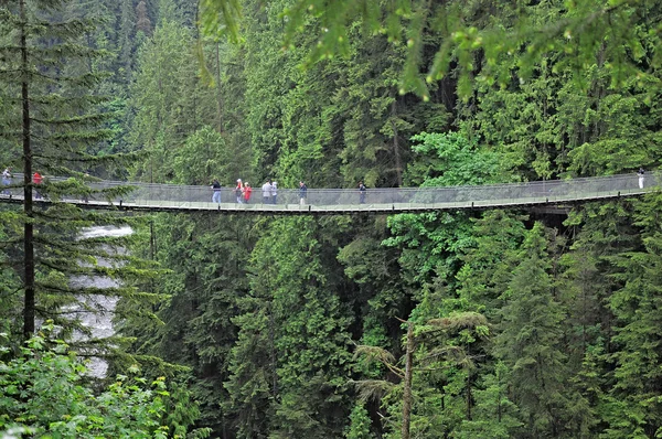 Capilano bridge. — Stock Photo, Image