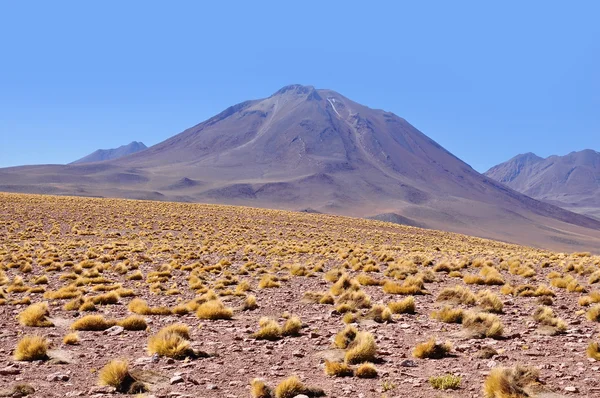 Atacama woestijn. — Stockfoto