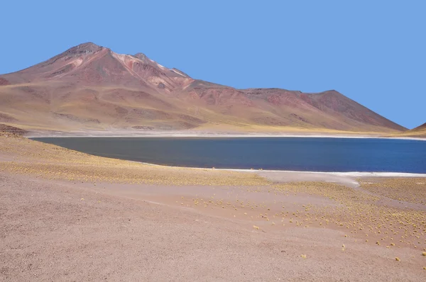 Atacamawüste. — Stockfoto