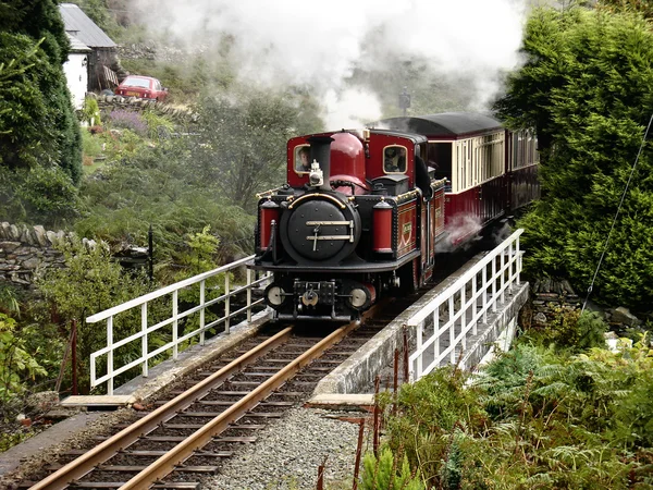 Caminho de ferro de bitola estreita . — Fotografia de Stock