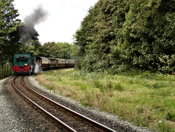 Steam narrow gauge train. — Stock Photo, Image