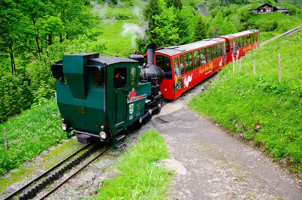 Train à voie étroite à vapeur . — Photo